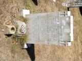 image of grave number 735916